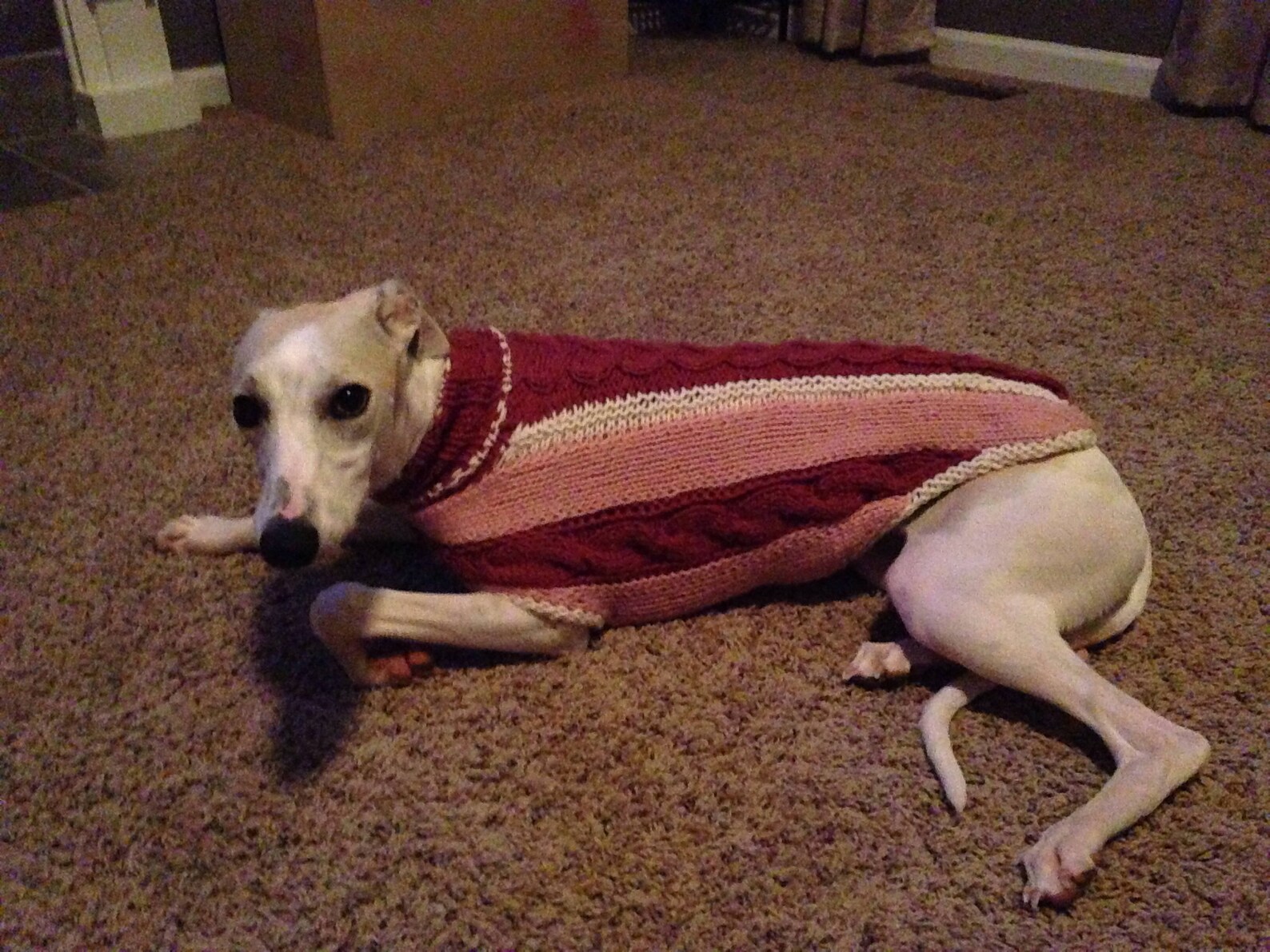 Whippet Sweater Pattern PDF File ONLY Etsy