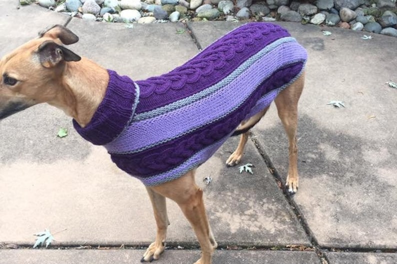 dog sweater/ greyhound sweater knitting pattern PDF file ONLY image 10