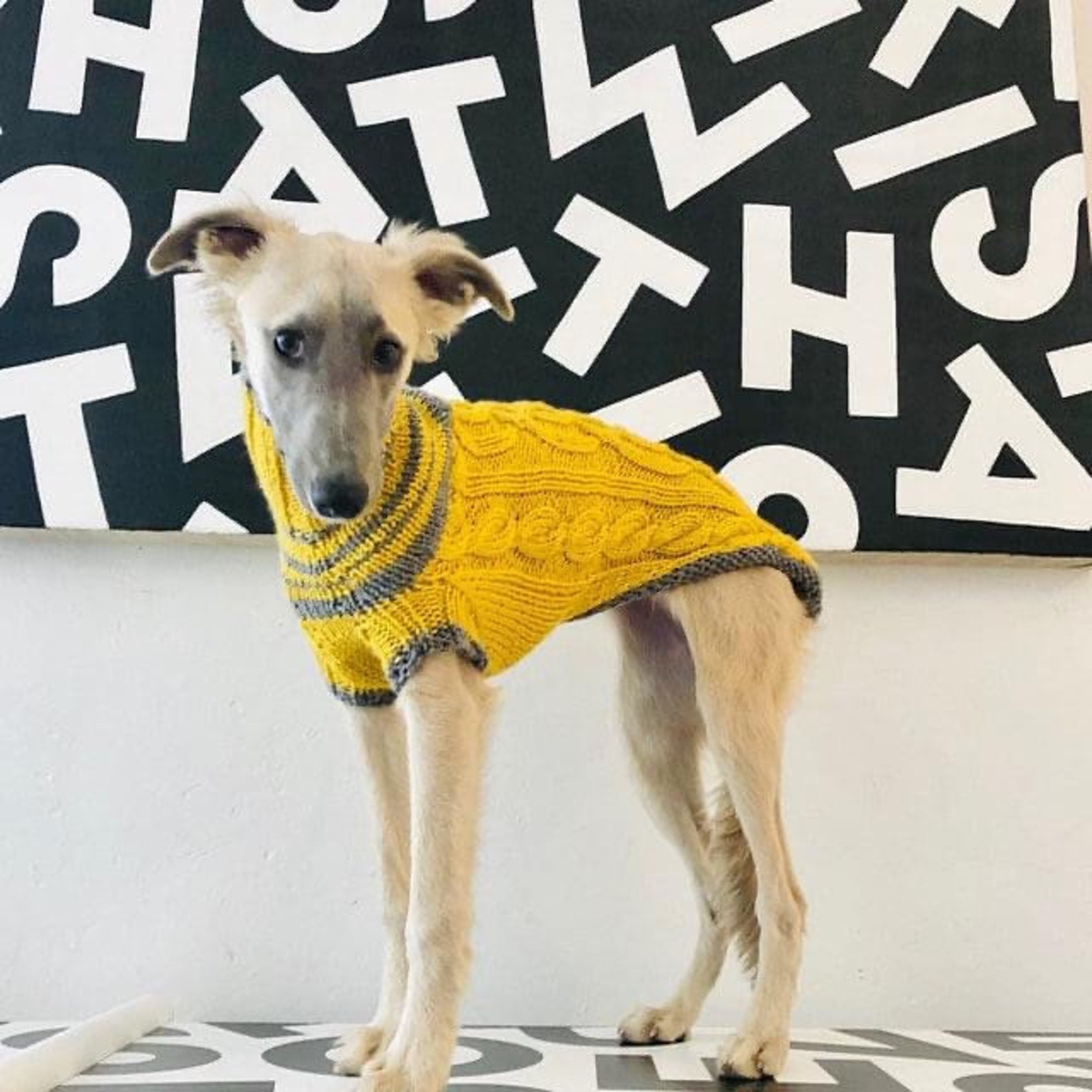 Whippet Sweater Pattern PDF File ONLY Etsy
