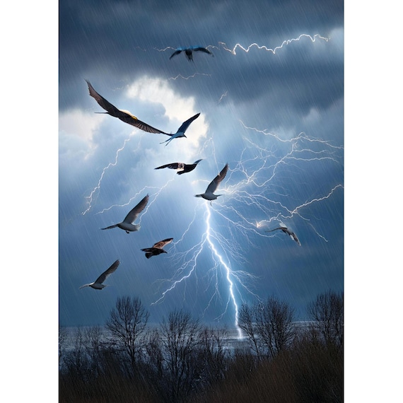 Postcard. Flock of birds with storm