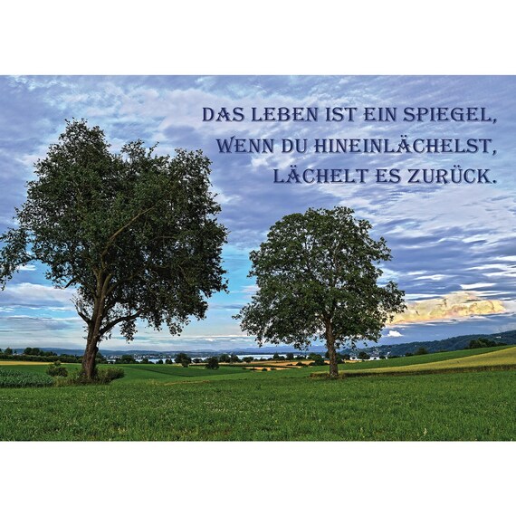 Postcard. Life is a mirror ......