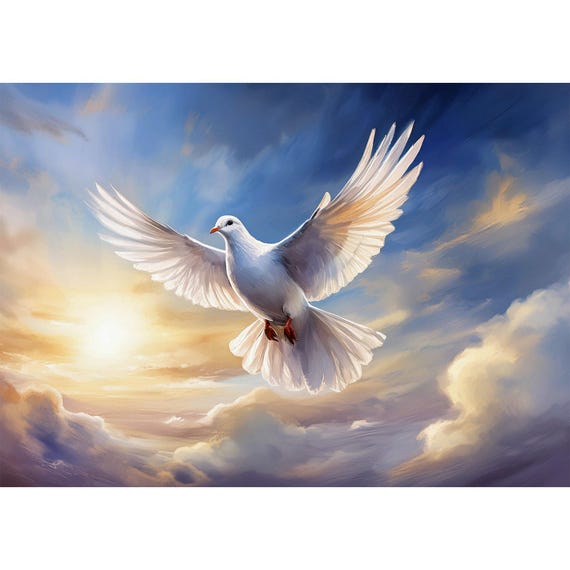 Postcard. Dove of Peace