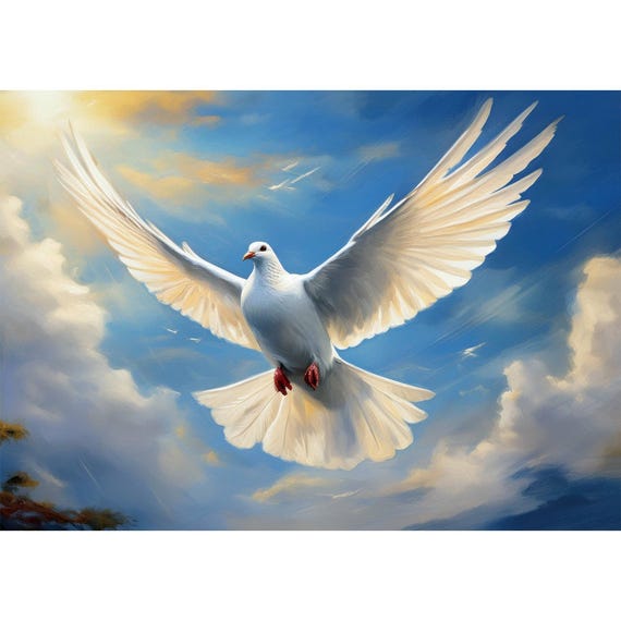 Postcard. Dove of Peace