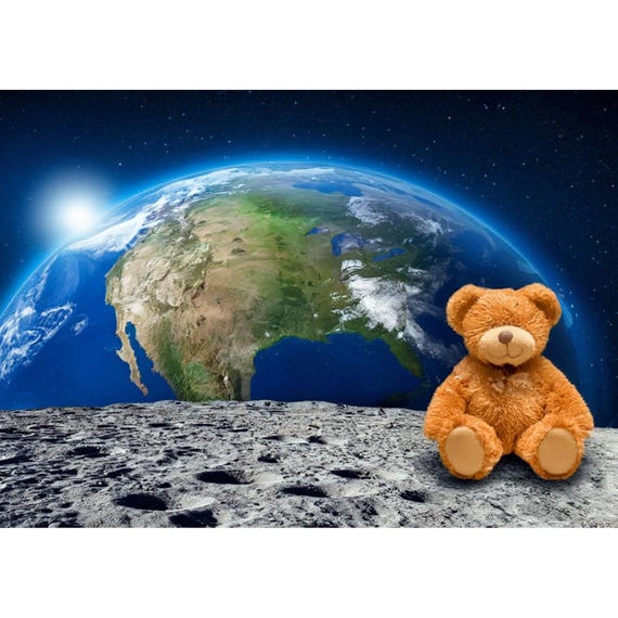 Postcard. Stuffed animal on the moon