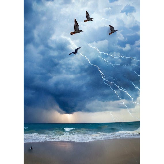 Postcard. Flock of birds on the beach with a storm