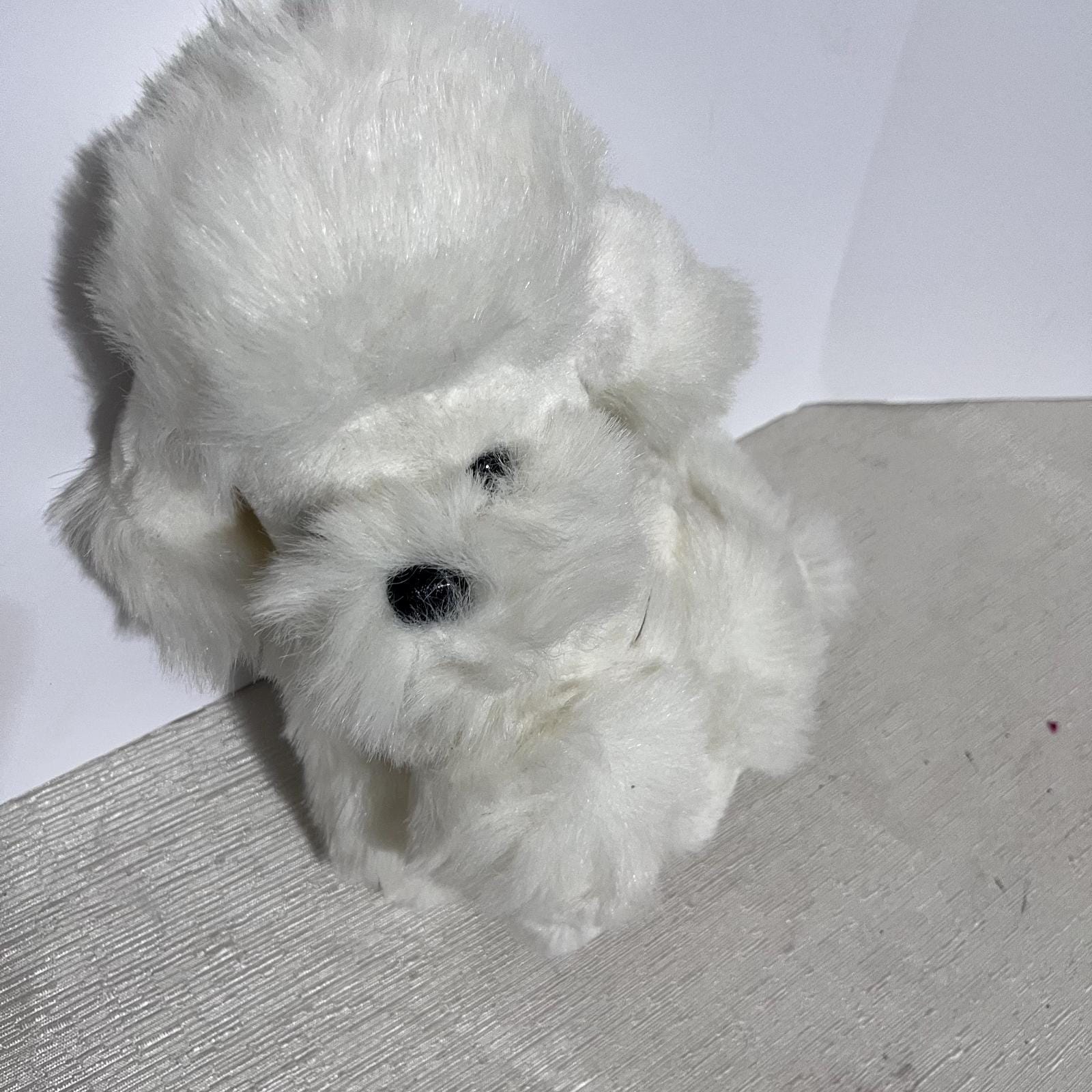 Caniche Blanc « La Nounourserie