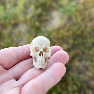 Mini 3D Printed Skull: Bone Color PLA Plastic, Gothic Decor
