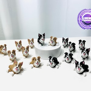 May include: A collection of small, hand-painted dog figurines featuring Border Collie and Australian Shepherd designs. The figures are depicted in various sitting and lying positions with open mouths and tongues out, arranged around a white circular base.