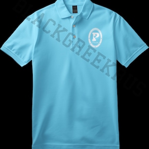 May include: A light blue polo shirt with a white embroidered circle containing a white letter "P" and the word "Promise" in smaller white letters.