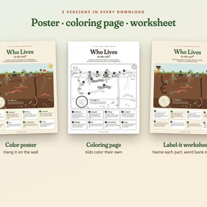 May include: Three educational sheets titled Who Lives in the soil? featuring a color poster, a black and white coloring page, and a label-it worksheet. Each sheet displays a cross-section of soil with illustrations of various organisms.