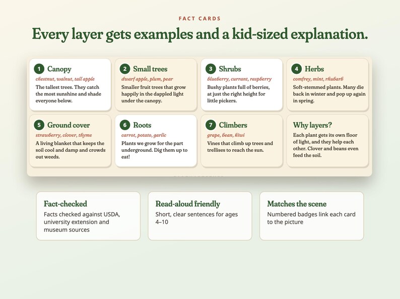 Peut inclure: Une infographie &eacute;ducative intitul&eacute;e Fact Cards: Every layer gets examples and a kid-sized explanation. Elle pr&eacute;sente huit cartes num&eacute;rot&eacute;es d&eacute;taillant les couches foresti&egrave;res comme la canop&eacute;e, les arbustes et les racines, avec trois cartes en bas.