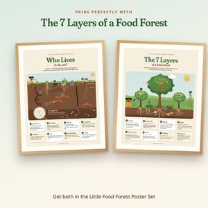 May include: Two educational posters in light wood frames. The left poster titled Who Lives in the soil? illustrates soil organisms. The right poster titled The 7 Layers of a food forest depicts forest strata. Both feature diagrams and text.