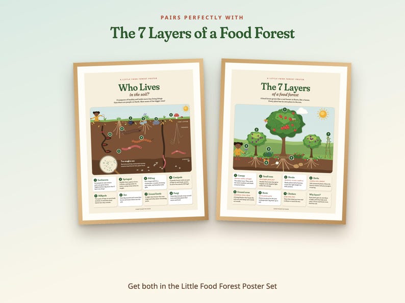 May include: Two educational posters in light wood frames. The left poster titled Who Lives in the soil? illustrates soil organisms. The right poster titled The 7 Layers of a food forest depicts forest strata. Both feature diagrams and text.