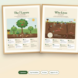 Puede incluir: Dos p&oacute;steres educativos con marcos de madera clara. El p&oacute;ster izquierdo titulado The 7 Layers of a food forest ilustra capas de plantas con diagramas numerados. El derecho muestra organismos que viven en el suelo.