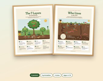 Peut inclure: Deux affiches éducatives avec des cadres en bois clair. L'affiche de gauche intitulée The 7 Layers of a food forest illustre les strates végétales avec des schémas numérotés. Celle de droite montre des organismes du sol.