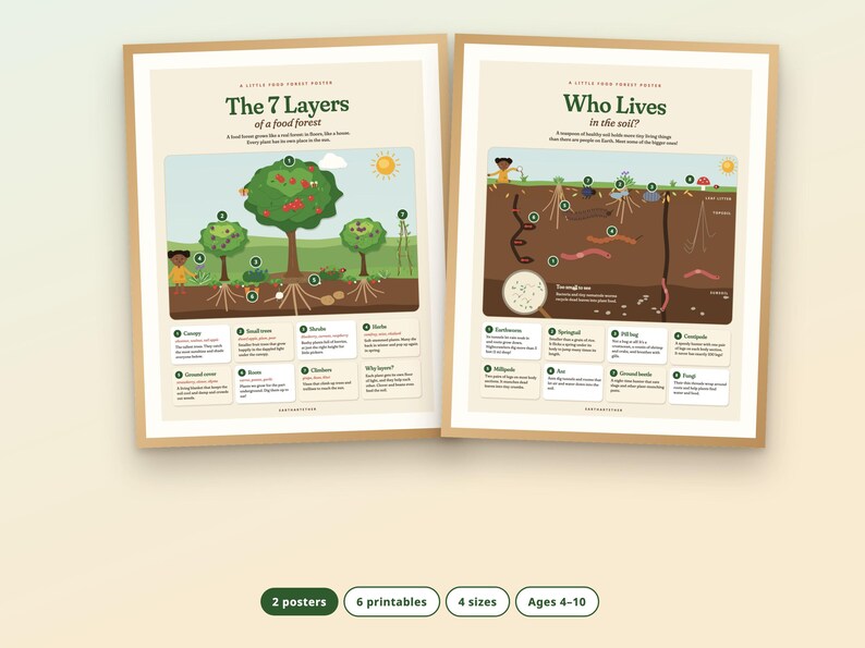 Puede incluir: Dos p&oacute;steres educativos con marcos de madera clara. El p&oacute;ster izquierdo titulado The 7 Layers of a food forest ilustra capas de plantas con diagramas numerados. El derecho muestra organismos que viven en el suelo.