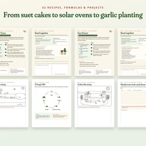 Programa de estudio de la naturaleza para niños durante todo el año, paquete didáctico para la educación en casa sobre las cuatro estaciones, más de 300 páginas, edades de 5 a 10 años. imagen 5