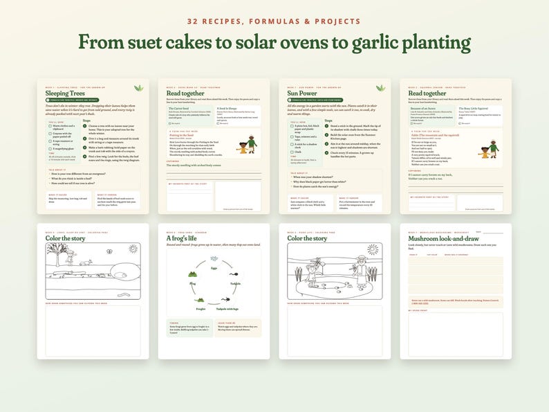 Programa de estudio de la naturaleza para niños durante todo el año, paquete didáctico para la educación en casa sobre las cuatro estaciones, más de 300 páginas, edades de 5 a 10 años. imagen 5