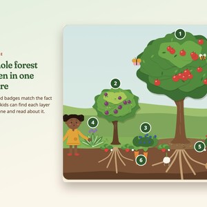 Peut inclure: Une illustration &eacute;ducative intitul&eacute;e UP CLOSE A whole forest garden in one picture. Elle montre une coupe transversale d'un jardin avec des badges num&eacute;rot&eacute;s de 1 &agrave; 6, repr&eacute;sentant des arbres, des plantes, des racines, un enfant et du texte.