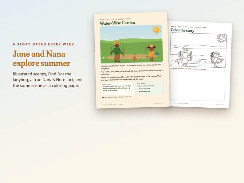Summer Nature Study for Kids, 8-Week Homeschool Unit, Butterfly Life Cycle, Pond Study, Ages 5-10 imagen 3