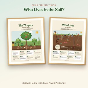 Peut inclure: Deux affiches &eacute;ducatives dans des cadres en bois clair. L'affiche de gauche intitul&eacute;e The 7 Layers of a Food Forest illustre les strates foresti&egrave;res. Celle de droite, Who Lives in the Soil?, montre des organismes souterrains &eacute;tiquet&eacute;s.