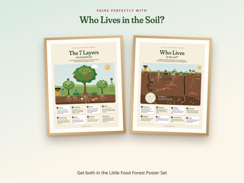 Peut inclure: Deux affiches &eacute;ducatives dans des cadres en bois clair. L'affiche de gauche intitul&eacute;e The 7 Layers of a Food Forest illustre les strates foresti&egrave;res. Celle de droite, Who Lives in the Soil?, montre des organismes souterrains &eacute;tiquet&eacute;s.