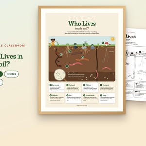 May include: A printable educational poster titled Who Lives in the Soil? featuring a cross-section diagram of earth layers with illustrations of insects, fungi, and roots. The poster includes numbered labels and descriptive text for each organism.