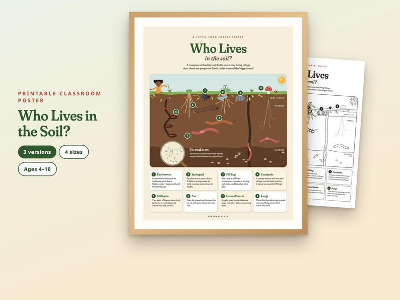 May include: A printable educational poster titled Who Lives in the Soil? featuring a cross-section diagram of earth layers with illustrations of insects, fungi, and roots. The poster includes numbered labels and descriptive text for each organism.