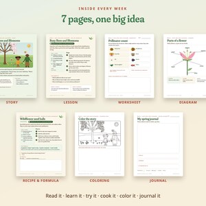 Lente-natuurstudie voor kinderen, 8 weken durende thuisonderwijsmodule, levenscyclus van planten en kikkers, leeftijd 5-10 afbeelding 2