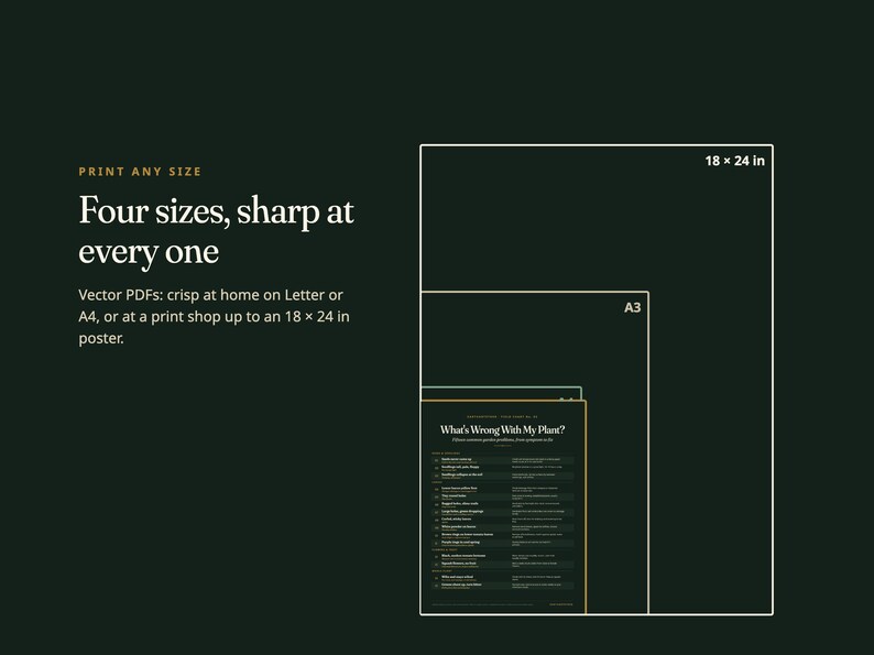 May include: A dark green graphic display showing four nested rectangular outlines representing print sizes. Text reads: Print any size, Four sizes, sharp at every one, Vector PDFs: crisp at home on Letter or A4, or at a print shop up to an 18 x 24 in poster.