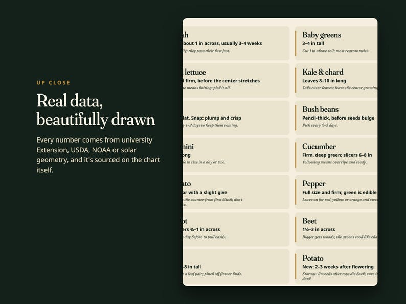 May include: A dark green informational chart titled UP CLOSE Real data, beautifully drawn. The chart features a grid of light beige rectangular boxes containing text about harvesting vegetables like baby greens, kale, chard, beans, and potatoes.