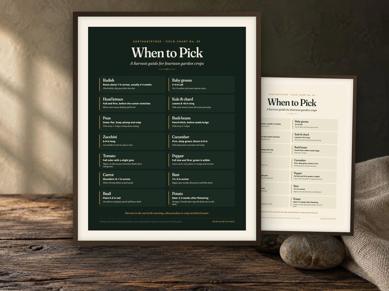 May include: A dark green and a cream-coloured rectangular wall print titled When to Pick, a harvest guide for fourteen garden crops. The charts list vegetables and herbs with specific harvesting instructions, featuring white text on a dark background.