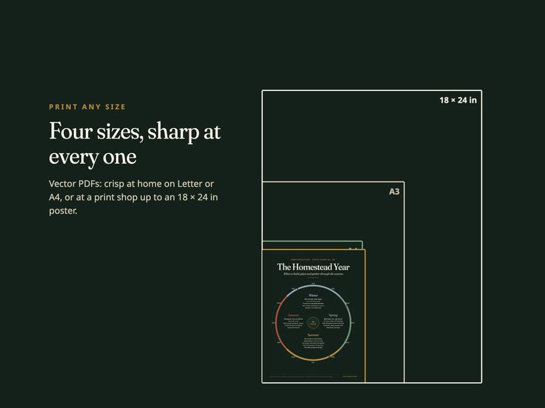 May include: A dark green graphic showing four nested rectangular outlines representing print sizes, including 18 x 24 in and A3. Text reads: PRINT ANY SIZE, Four sizes, sharp at every one, Vector PDFs: crisp at home on Letter or A4.