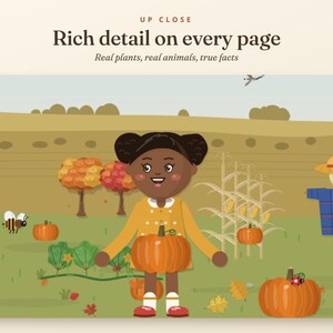 Estudio de la naturaleza en otoño para niños, unidad didáctica de otoño para la educación en casa, ciclos de vida de la calabaza y la manzana, edades de 5 a 10 años. imagen 4