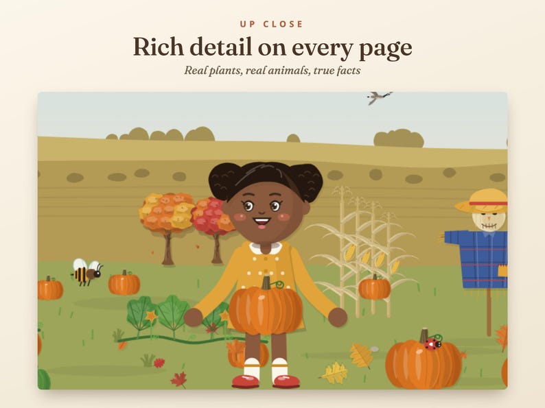 Estudio de la naturaleza en otoño para niños, unidad didáctica de otoño para la educación en casa, ciclos de vida de la calabaza y la manzana, edades de 5 a 10 años. imagen 4