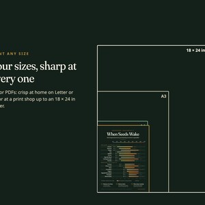 May include: A dark green informational graphic displaying four nested rectangular outlines representing print sizes. Text reads: PRINT ANY SIZE, Four sizes, sharp at every one, Vector PDFs: crisp at home on Letter or A4, or at a print shop up to an 18 x 24 in poster. The smallest rectangle contains a chart titled When Seeds Wake.