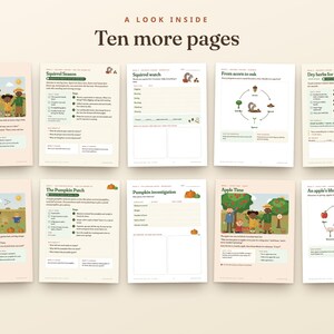 Estudio de la naturaleza en otoño para niños, unidad didáctica de otoño para la educación en casa, ciclos de vida de la calabaza y la manzana, edades de 5 a 10 años. imagen 6