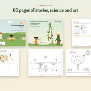 Garten-Lehrplanpaket für den Heimunterricht, Bilderbuch, Unterrichtseinheit und Malbuch, Naturkunde, Alter 4-10 Bild 3