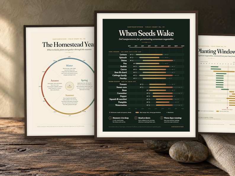 May include: Three framed educational posters featuring gardening information. The left poster is titled The Homestead Year, the centre poster is titled When Seeds Wake with soil temperature data, and the right poster is titled Planting Windows.