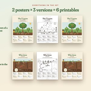Puede incluir: Un conjunto de seis p&oacute;steres educativos imprimibles con dos dise&ntilde;os: The 7 Layers of a Food Forest y Who Lives in the Soil. Cada dise&ntilde;o incluye una versi&oacute;n a todo color, una versi&oacute;n en blanco y negro y una versi&oacute;n con diagramas etiquetados.