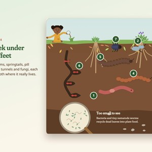 May include: An educational infographic titled A peek under your feet, illustrating soil layers with numbered organisms including earthworms, springtails, and pill bugs. A magnifying glass shows bacteria and nematodes in the brown soil.