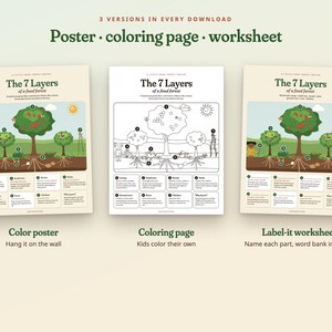 Peut inclure: Trois documents &eacute;ducatifs intitul&eacute;s The 7 Layers of a food forest. L'ensemble comprend une affiche en couleur, une page &agrave; colorier en noir et blanc et une fiche d'exercices. Chaque document pr&eacute;sente des illustrations d'arbres, de plantes et de racines avec des &eacute;tiquettes num&eacute;rot&eacute;es et des encadr&eacute;s d&eacute;crivant les couches d'un &eacute;cosyst&egrave;me forestier.