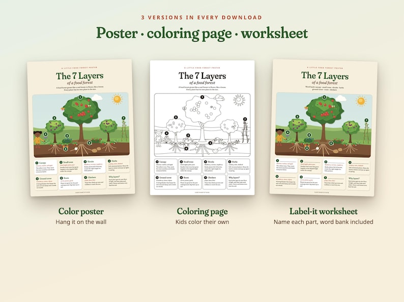 Peut inclure: Trois documents &eacute;ducatifs intitul&eacute;s The 7 Layers of a food forest. L'ensemble comprend une affiche en couleur, une page &agrave; colorier en noir et blanc et une fiche d'exercices. Chaque document pr&eacute;sente des illustrations d'arbres, de plantes et de racines avec des &eacute;tiquettes num&eacute;rot&eacute;es et des encadr&eacute;s d&eacute;crivant les couches d'un &eacute;cosyst&egrave;me forestier.