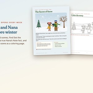 Estudio de la naturaleza invernal para niños, material didáctico imprimible para la educación en casa, ciencia de la permacultura, huellas de animales, observación de aves, edades de 5 a 10 años. imagen 3