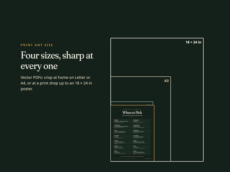 May include: A dark green informational graphic displaying four nested rectangular outlines representing print sizes. Text reads: Print any size, Four sizes, sharp at every one, Vector PDFs: crisp at home on Letter or A4, or at a print shop up to an 18 x 24 in poster.