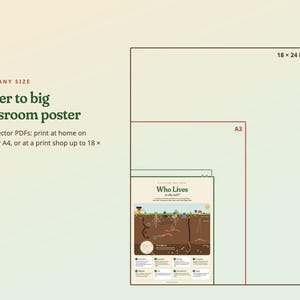 May include: A digital educational poster titled Who Lives in the soil? displayed in multiple sizes including 18 x 24 in and A3. The text reads Print any size, Letter to big classroom poster, and Sharp vector PDFs: print at home on Letter or A4.