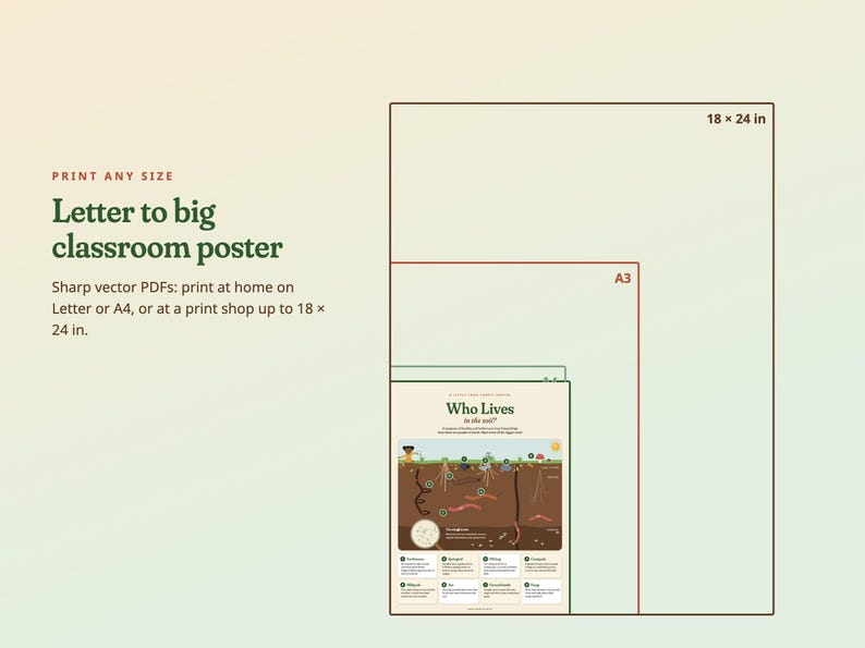 May include: A digital educational poster titled Who Lives in the soil? displayed in multiple sizes including 18 x 24 in and A3. The text reads Print any size, Letter to big classroom poster, and Sharp vector PDFs: print at home on Letter or A4.