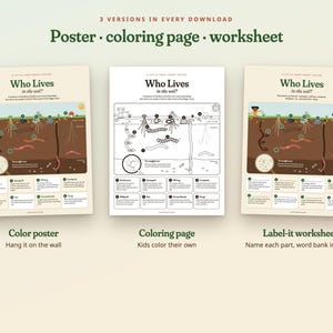 Puede incluir: Tres hojas educativas tituladas Who Lives in the soil? que incluyen un p&oacute;ster a color, una p&aacute;gina para colorear en blanco y negro y una ficha de trabajo. Cada hoja muestra una secci&oacute;n transversal del suelo con ilustraciones de organismos.