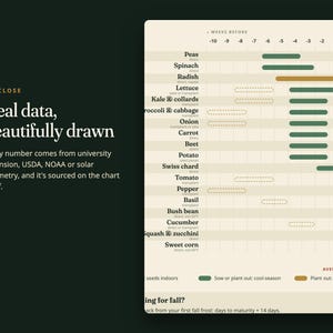 Pu&ograve; includere: Una tabella di semina su sfondo color crema con testo verde scuro. La tabella elenca verdure come piselli, spinaci e carote con barre orizzontali che indicano le settimane di semina. Il testo include "UP CLOSE Real data, beautifully drawn".