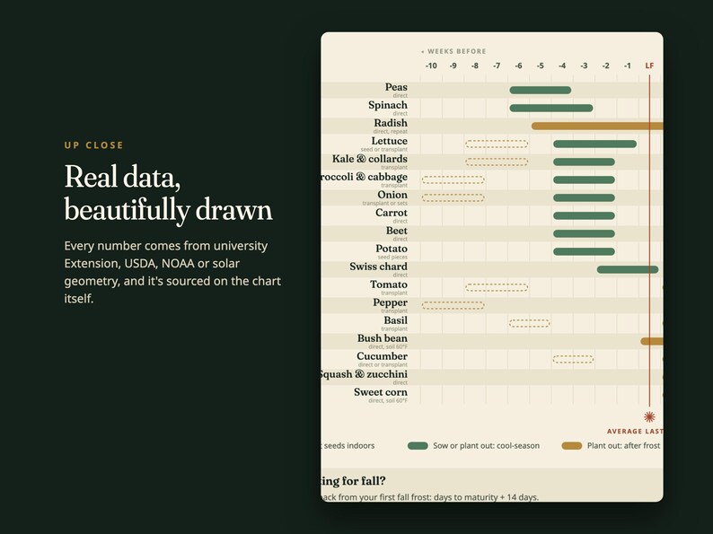 Pu&ograve; includere: Una tabella di semina su sfondo color crema con testo verde scuro. La tabella elenca verdure come piselli, spinaci e carote con barre orizzontali che indicano le settimane di semina. Il testo include "UP CLOSE Real data, beautifully drawn".